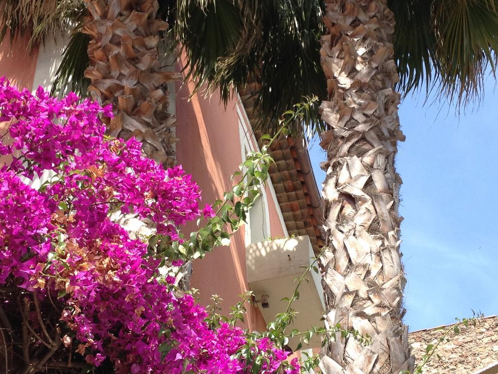 L'arena Hotel Frejus
